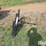 king-kutter-loader-mount/3-pt-mount-bale-spear-image-4