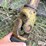 bush-hog-sq720-image-15