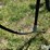 case-ih-wrx301-image-11