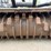 #4006-•-60-in-diamond-drum-mulcher-for-skid-steer-image-5