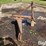 dearborn-19-5-image-4