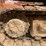2015-caterpillar-311-flrr-image-9
