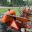 1955-allis-chalmers-wd45-image-20