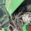 2003-john-deere-5520-image-22