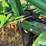 2014-john-deere-2620-image-15