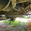 2022-case-ih-9250-image-55