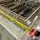 wel's-electric-kitchen-fryers-image-9