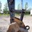 2009-deere-270d-lc-image-29
