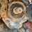 case-ih-7140-image-10