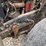 1981-mack-dm685s-image-34
