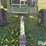 sperry-239-gravity-box-image-10