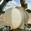 redball-640-image-16