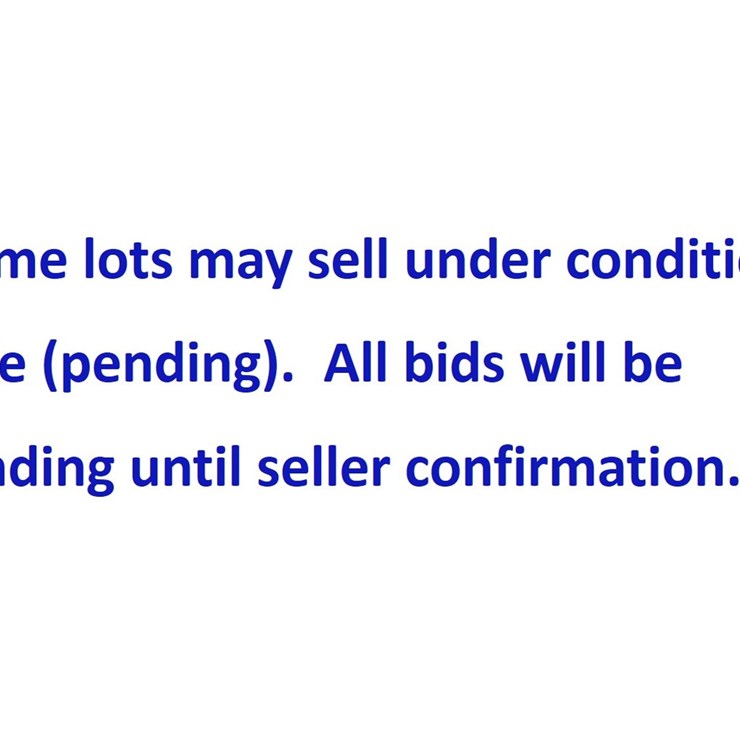 #3 • Conditional Sale
