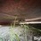bush-hog-sq720-image-16