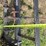king-kutter-loader-mount/3-pt-mount-bale-spear-image-14