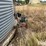 butler-21’-diameter-grain-bin-image-8