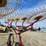 #5008-•-tuniti-10-wheel-vee-rake-image-17