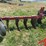 case-ih-10-image-1