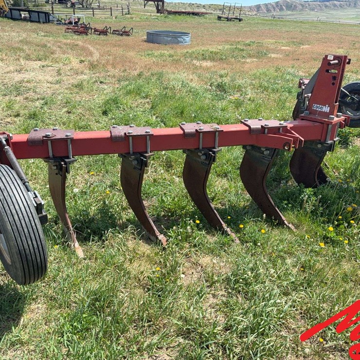 CASE IH 10
