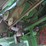 2009-john-deere-9770-sts-image-25
