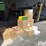 john-deere-9530-image-3