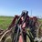 case-ih-wrx301-image-17