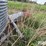 butler-21’-diameter-grain-bin-image-10