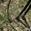 john-deere-300-image-12