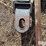alloway-rau-image-10