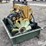caterpillar-3126-image-7