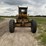 caterpillar-12-image-2