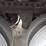 2021-stoughton-van-image-17