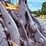 2019-volvo-l70h-image-21