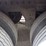 2019-stoughton-van-image-17