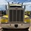 2014-peterbilt-389-image-2