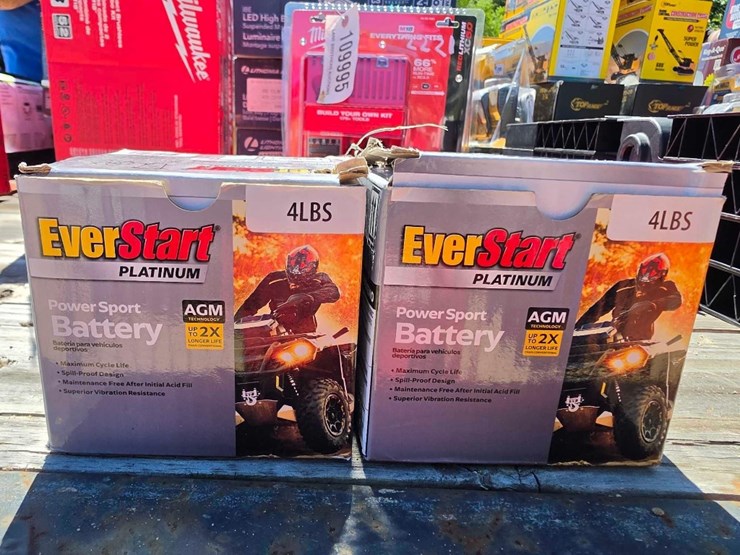 2219---(2)-everstart-atv-batteries-image-1