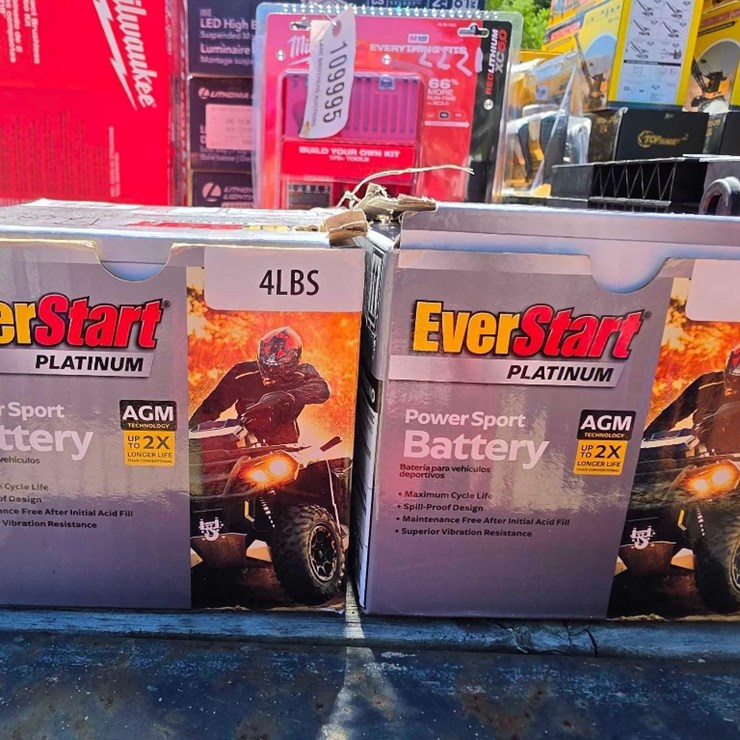 2219 - (2) EVERSTART ATV BATTERIES