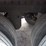 2016-stoughton-van-image-9