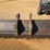komatsu-pc160-image-27