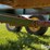 sperry-239-gravity-box-image-17