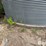grain-bin-image-6