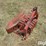 massey-ferguson-8-image-3