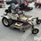 grasshopper-225-image-3