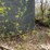 grain-bin-image-18