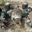 peterbilt-359-image-10