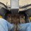2023-bobcat-t76-image-34