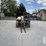 2019-gehl-rs5-19-image-7
