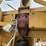 2021-vermeer-6-image-19