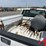 2010-chevrolet-silverado-1500-image-11