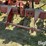case-ih-1820-image-9